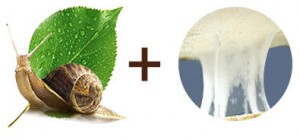 состав улиточного крема SnailMe