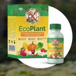 Eco Plant мощнейшее средство против сорняков